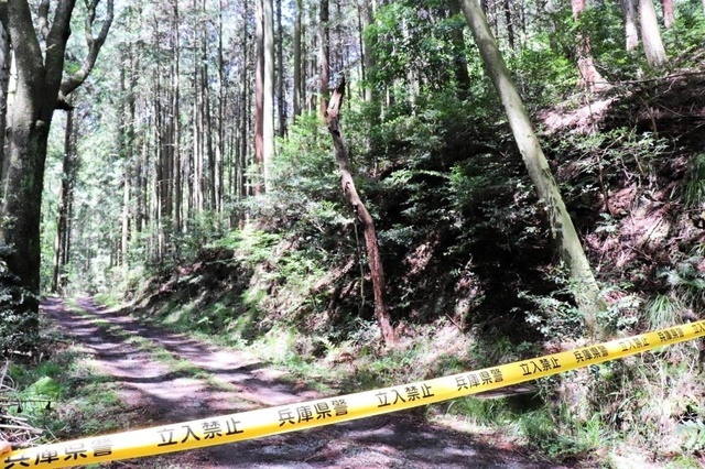 tanbashi